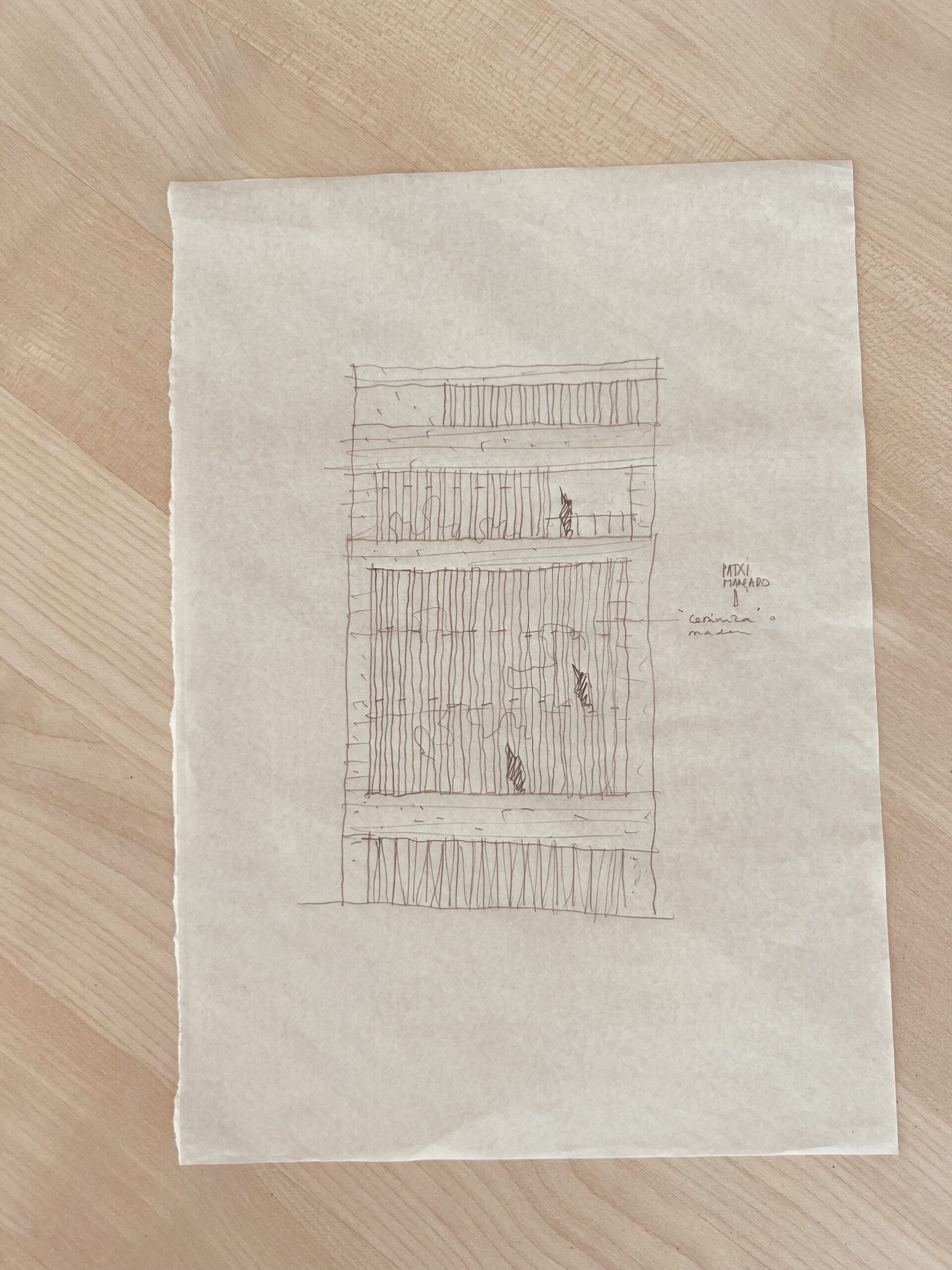 6 Croquis inicial