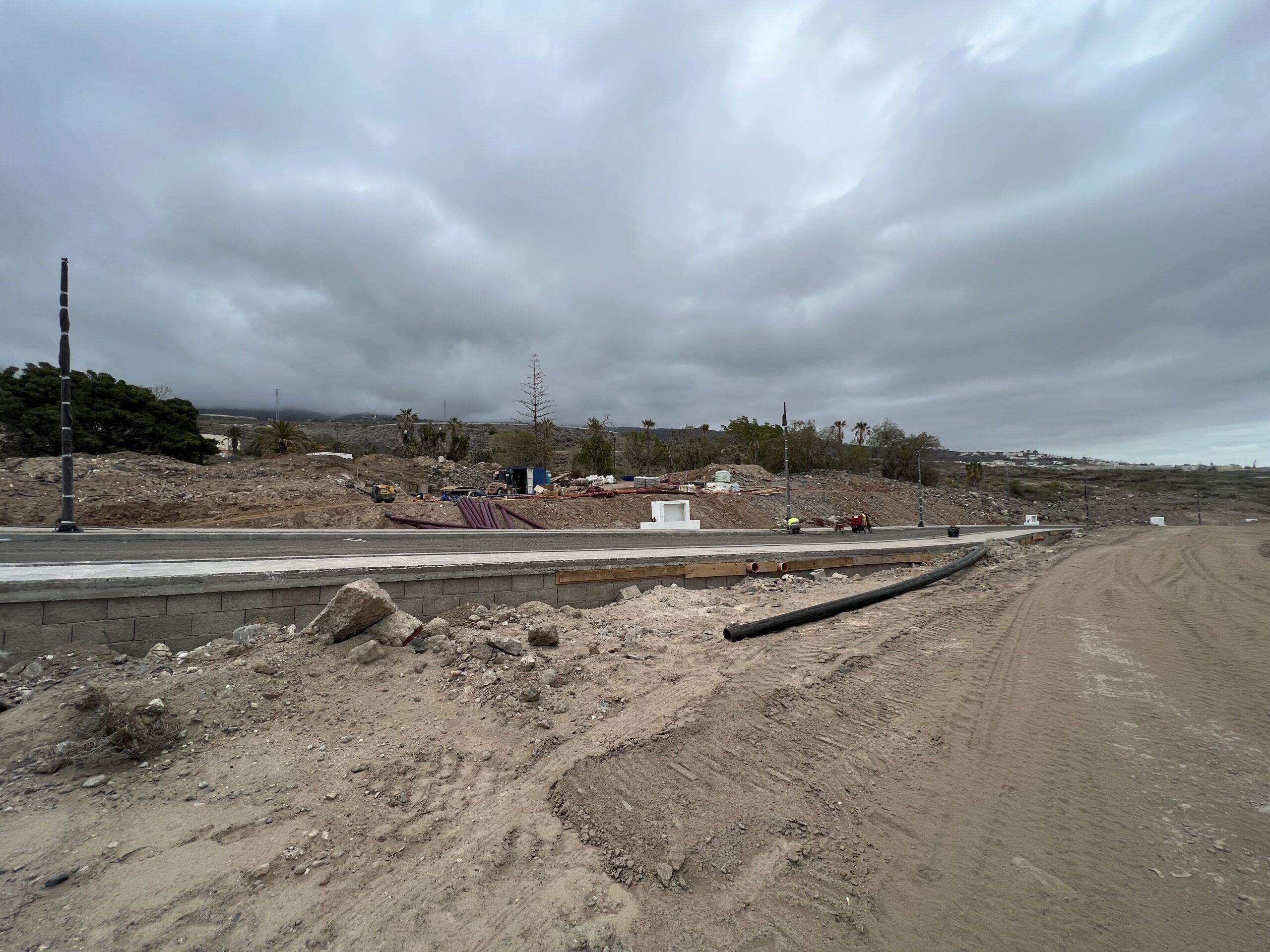 3 Vista de la parcela con ligera caída hacia el sur