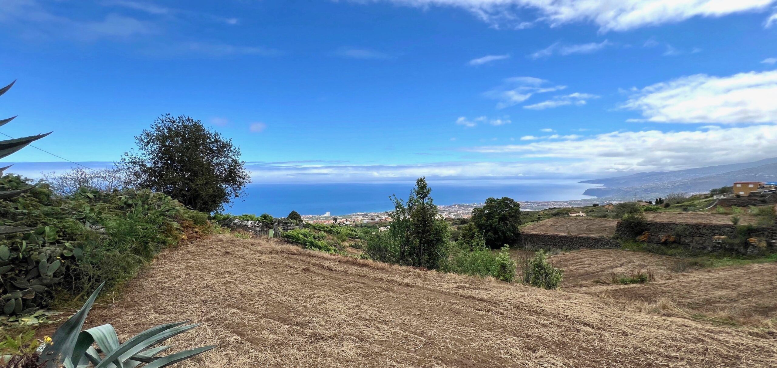 2 Finca La Piñera