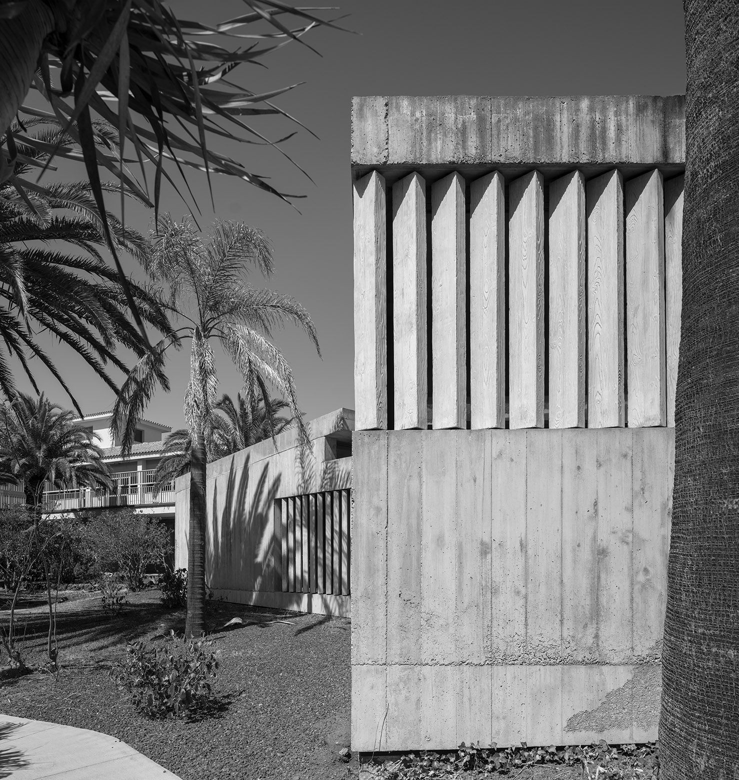 02 Virgilio Gutiérrez Herreros - Pequeño pabellón en el jardín del Colegio Acamán en Geneto, en San Cristóbal de La Laguna. Fotografía: Duccio Malagamba, 2024.