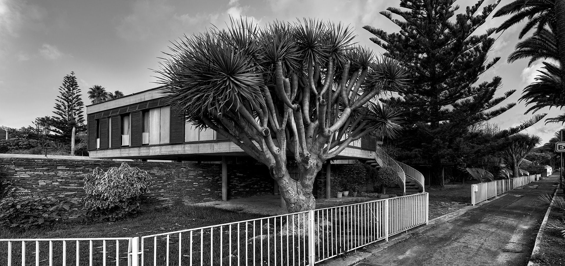 19 Rubens Henríquez Hernández - Cuatro Casas en el Camino Largo, en San Cristóbal de La Laguna, 1962. Fotografía: Efraín Pintos, 2024.